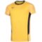 Мужская волейбольная футболка Mizuno PREMIUM HIGH-KYU TEE (V2EA700245)