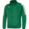 Мужская Mizuno NARA INTERLOCK TRACK JACKET M (32FC9A0138)