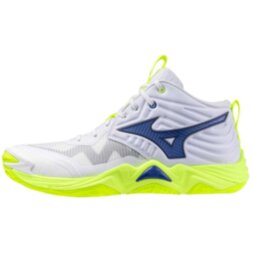 Мужские волейбольные кроссовки Mizuno Wave MOMENTUM ELITE MID (V1GA251739)