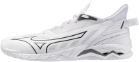 Мужские гандбольные кроссовки Mizuno Wave MIRAGE 5 (X1GA235083)