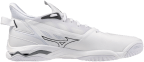 Мужские гандбольные кроссовки Mizuno Wave MIRAGE 5 (X1GA235083)