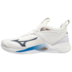 Мужские волейбольные кроссовки Mizuno WAVE MOMENTUM 2  (V1GA211300)