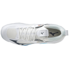 Чоловічі волейбольні кросівки Mizuno Wave MOMENTUM 2 (V1GA211300)