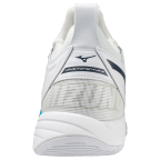 Чоловічі волейбольні кросівки Mizuno Wave MOMENTUM 2 (V1GA211300)