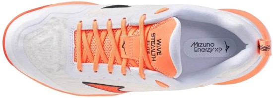 Мужские гандбольные кроссовки Mizuno Wave STEALTH ELITE (X1GA266080) фото 4