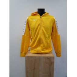 Мужское худи Mizuno NARA TRAINING FZ HOODIE M (32FC9A9144)