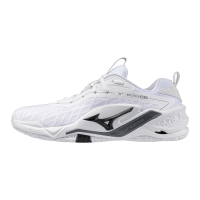 Чоловічі гандбольні кросівки Mizuno Wave STEALTH NEO 2.1 (X1GA264083)
