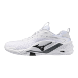 Мужские гандбольные кроссовки Mizuno Wave STEALTH NEO 2.1 (X1GA264083)