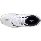 Мужские кроссовки для настольного тенниса Mizuno Wave DRIVE 9 (81GA220514)