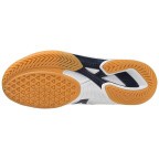 Мужские кроссовки для настольного тенниса Mizuno Wave DRIVE 9 (81GA220514)