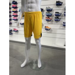 Мужские гандбольные шорты Mizuno PREMIUM HANDBALL SHORT M (X2FB9A0245)