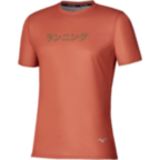Чоловіча футболка Mizuno CORE GRAPHIC SHORT SLEEVE TEE (J2GAD51053)