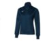 Женская Mizuno CORE TR JACKET W (32ECA75014)