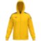 Мужская Mizuno MZNRB TRACK JACKET(M) (32ECB55545)