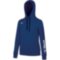Женское худи Mizuno TER HOODIE W (32EC9C60C14)
