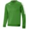 Мужская толстовка Mizuno NARA TRAINING SWEAT M (32FC9A0338)