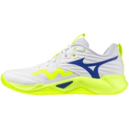 Мужские волейбольные кроссовки Mizuno Wave MOMENTUM PRO (V1GA254039)