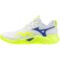 Мужские волейбольные кроссовки Mizuno Wave MOMENTUM PRO (V1GA254039)