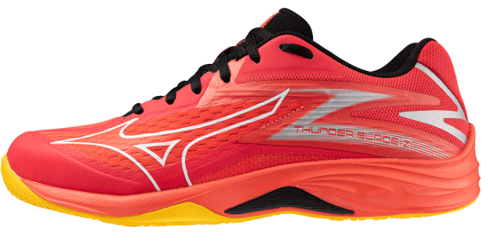 Чоловічі волейбольні кросівки Mizuno THUNDER BLADE Z (V1GA237002) фото 1