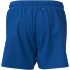 Мужские шорты Mizuno CORE 5.5 INCHES SHORT(M) (J2GBC50818)