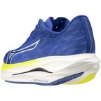 Мужские кроссовки для бега Mizuno Wave REBELLION FLASH 3 (J1GC253551)
