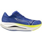 Мужские кроссовки для бега Mizuno Wave REBELLION FLASH 3 (J1GC253551)