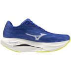 Мужские кроссовки для бега Mizuno Wave REBELLION FLASH 3 (J1GC253551)