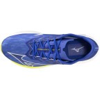 Мужские кроссовки для бега Mizuno Wave REBELLION FLASH 3 (J1GC253551)