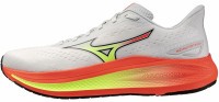 Мужские беговые кроссовки Mizuno FORTRUSH (J1GC264851)