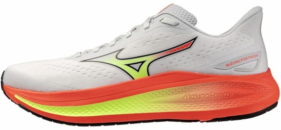 Мужские беговые кроссовки Mizuno FORTRUSH (J1GC264851) фото 1