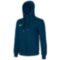 Мужское худи Mizuno SWEAT FZ HOODIE (32EC8500C14)