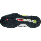 Мужские волейбольные кроссовки Mizuno Wave MOMENTUM 2 (V1GA211238)