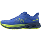 Мужские кроссовки для бега Mizuno Wave SKYRISE 7 (J1GC260901)