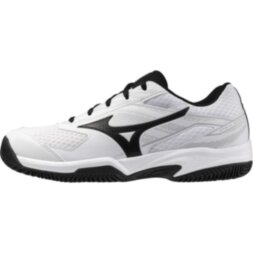 Мужские теннисные кроссовки Mizuno BREAK SHOT 5 CC (61GC252509)