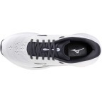 Мужские кроссовки для бега Mizuno REVOLT 4 (J1GC258153)