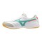 Мужские футзалки для минифутбола Mizuno MORELIA SALA ELITE IN (Q1GA261235)